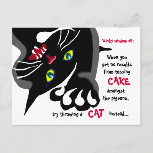 Cat and Pigeons - whacky wisdom Postcard