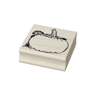 Cat and pumpkin illustration art stamp