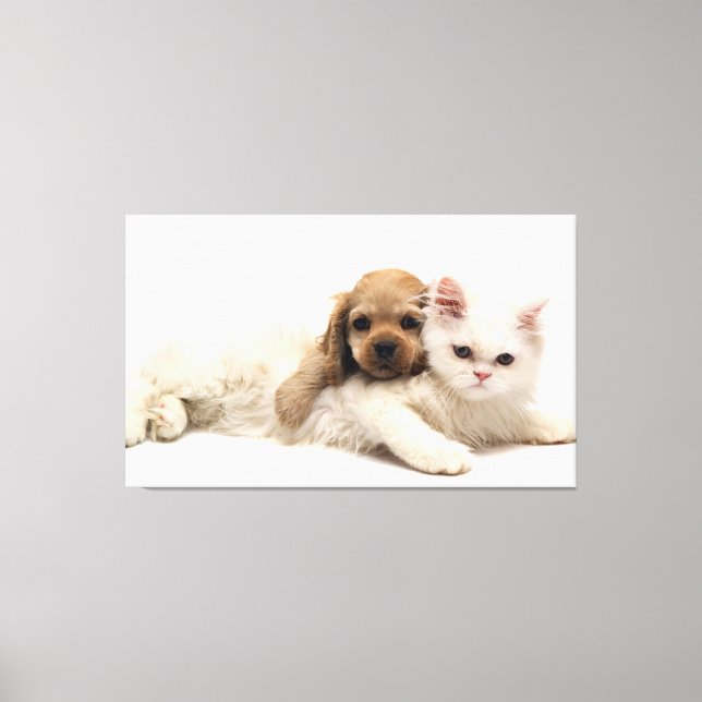 Cat and Puppy Canvas Print (Front)