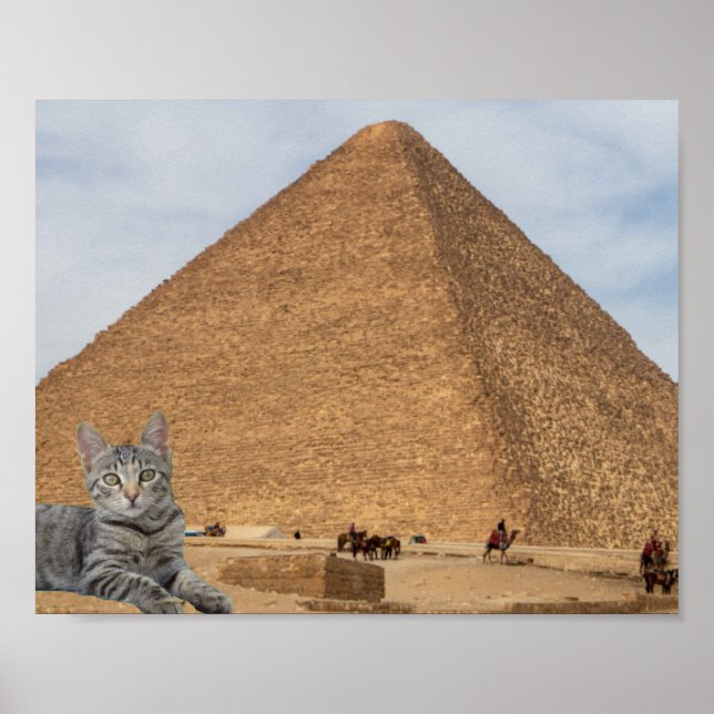 Cat and Pyramid. Poster (Front)