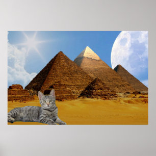Cat and Pyramid. Poster