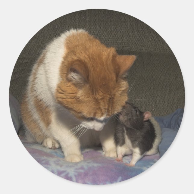 cat and rat classic round sticker (Front)