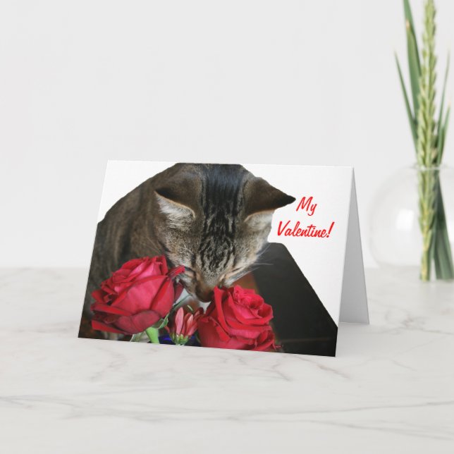 Cat and Roses Valentine Card (Front)