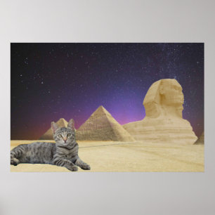 Cat and Sphinx. Poster