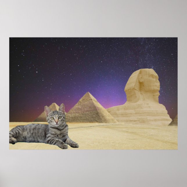 Cat and Sphinx. Poster (Front)