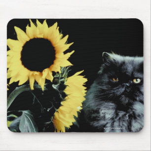 Cat and Sunflower Mouse Pad