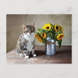 Cat and Sunflowers Postcard