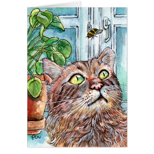 Cat and the Bee (Front)