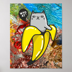 Cat and the colors poster