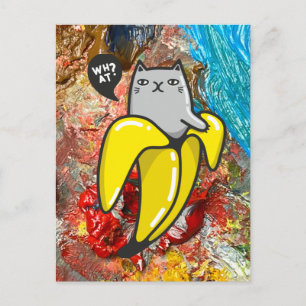 Cat and the colours postcard