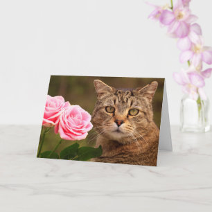 Cat And Two Roses Birthday Card