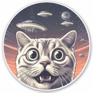 Cat and UFOs 