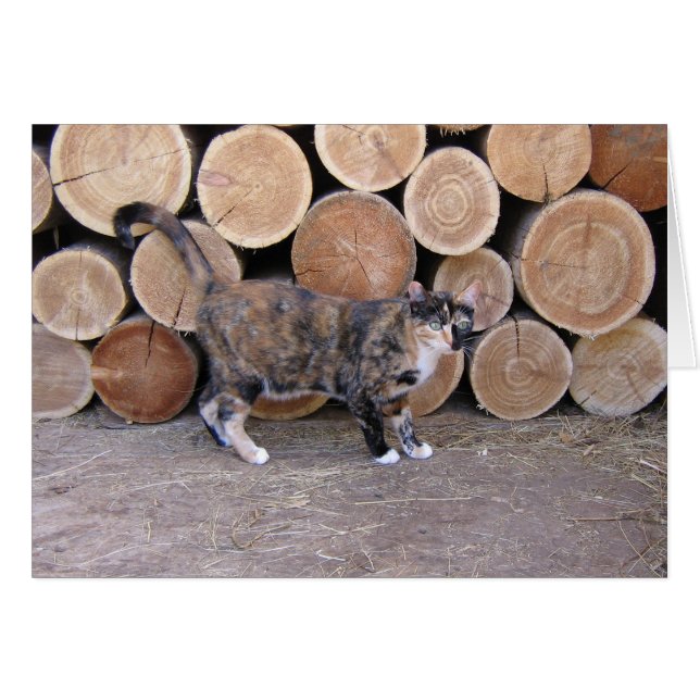 Cat and woodpile card (Front Horizontal)