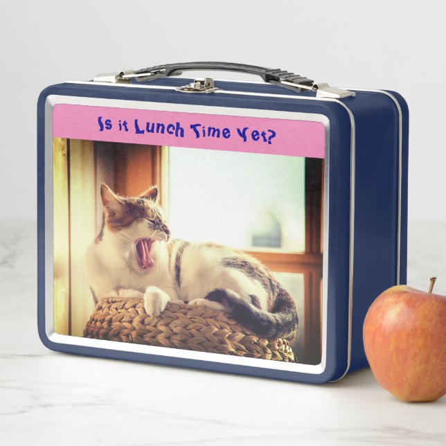 Cat Animal  Metal Lunch Box (In Situ)
