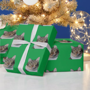 Cat Animal Pet Cat Lover Wrapping Paper