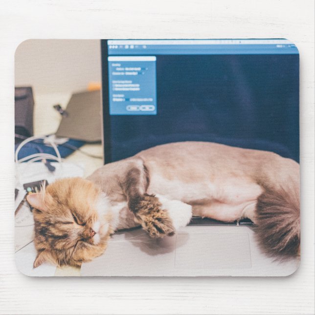 Cat, Animal, Pet Mouse Pad (Front)
