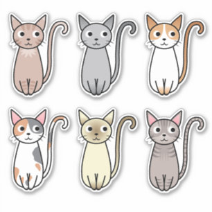 cat animals