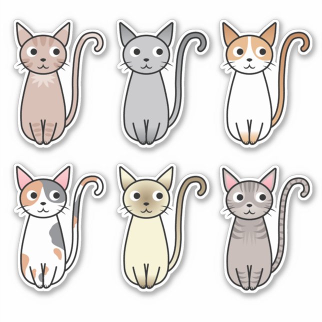 cat animals (Front)