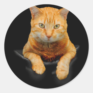 Cat Animals Creative Cat Motif Bag Cat  Classic Round Sticker