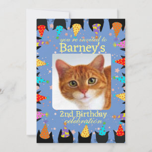 Cat Anniversaire Fête Photo Invitation