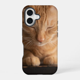 Cat Apple Iphone 16 Case