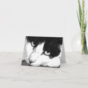 Cat Art Note Card