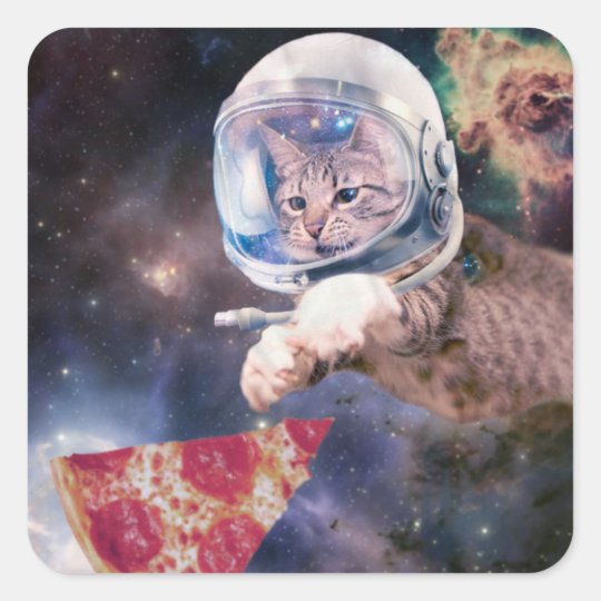 cat astronaut - funny cats - cats in space square sticker