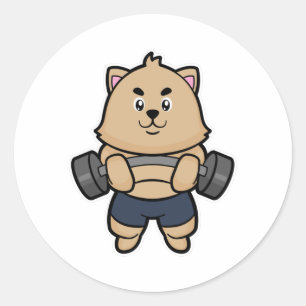 Cat at Bodybuilding with Barbell Classic Round Sticker