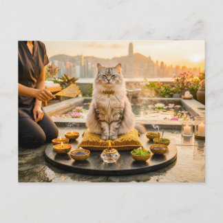 Cat at Rooftop Aromatherapy Postcard