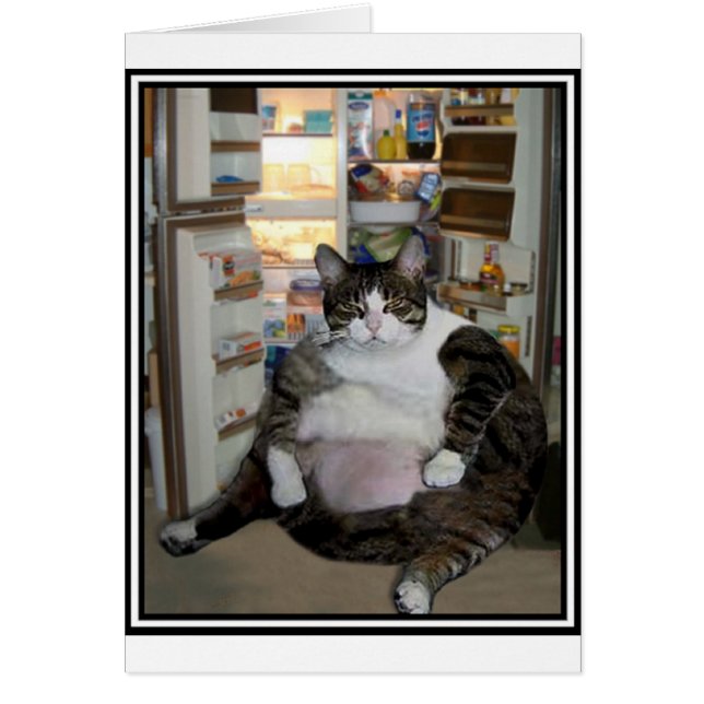 CAT AT THE FRIDGE (Front)