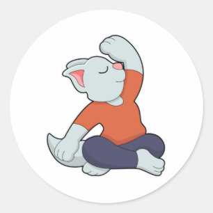 Cat at Yoga in Cross legged Classic Round Sticker