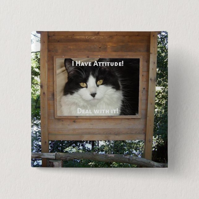 Cat Attitude 2 Inch Square Button (Front)