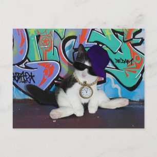 Cat Attitude.......Cat-itude! Postcard