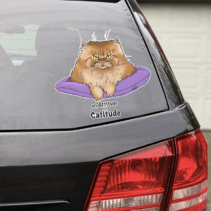 Cat Attitude Funny