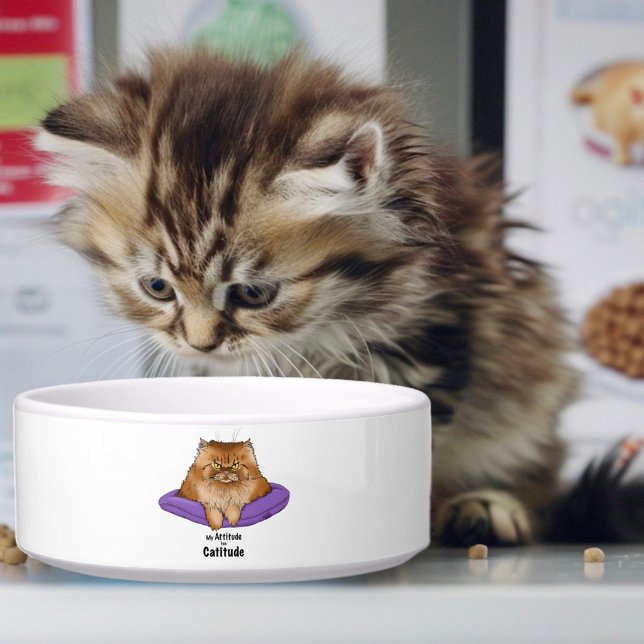 Cat Attitude Funny Bowl (Creator Uploaded)