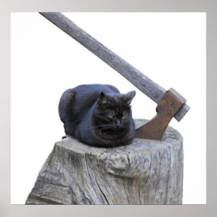 cat, axe and life poster