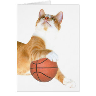 Cat basketball