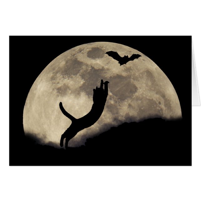 Cat Bat Moon (Front Horizontal)