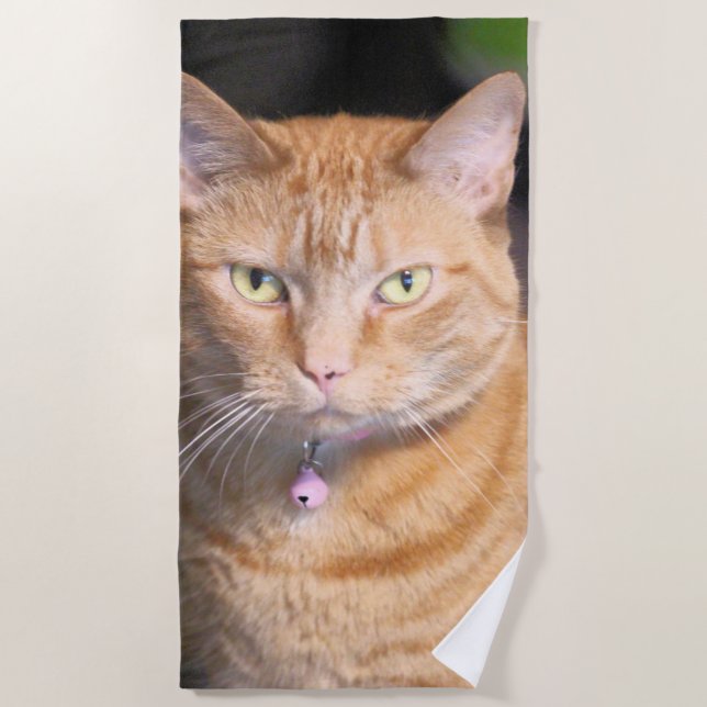 Cat  beach towel (Front)