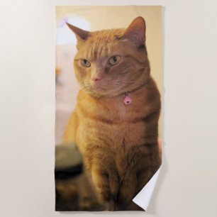 Cat  beach towel