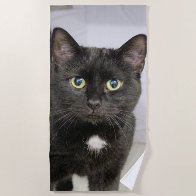 Cat Beach Towel (Front)