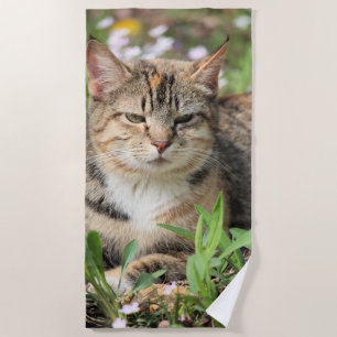 Cat Beach Towel