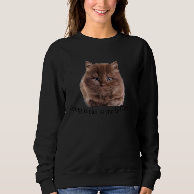 Cat Being Mean To Me Is Illegal Sweatshirt (Front)