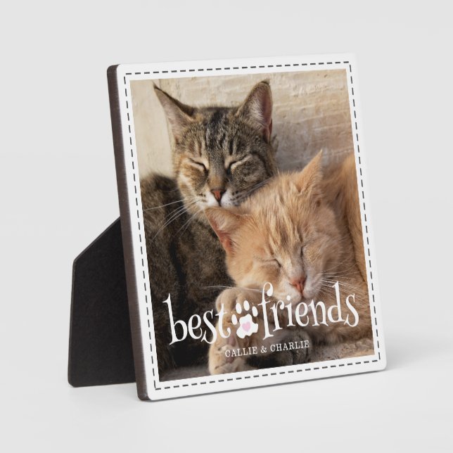 Cat Best Friends Pawprint One Photo Custom Colours Plaque (Front)