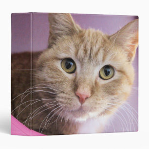 Cat Binder