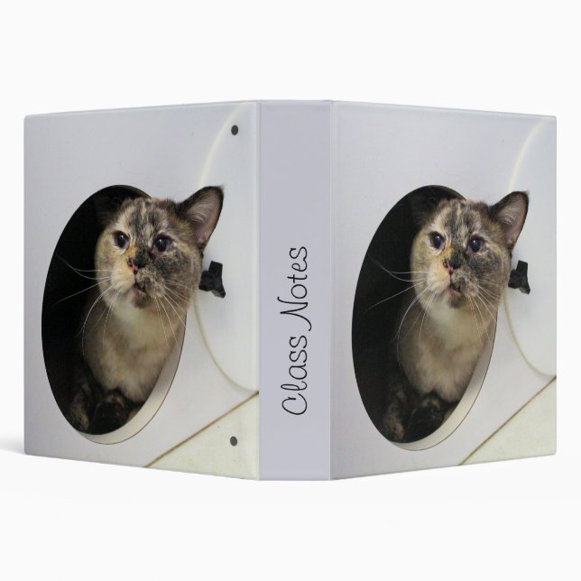 Cat Binder (Background)