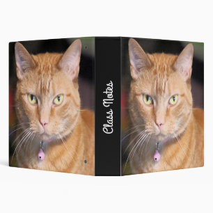 Cat Binder