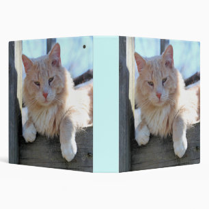 Cat Binder