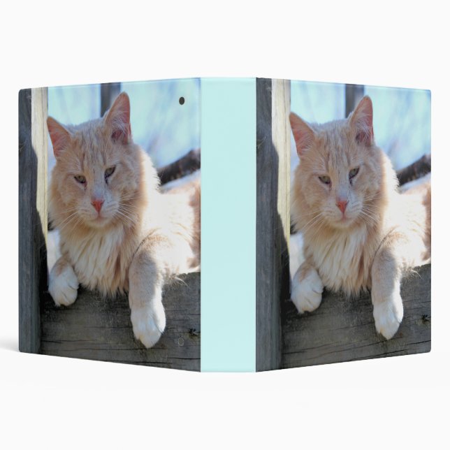 Cat Binder (Background)