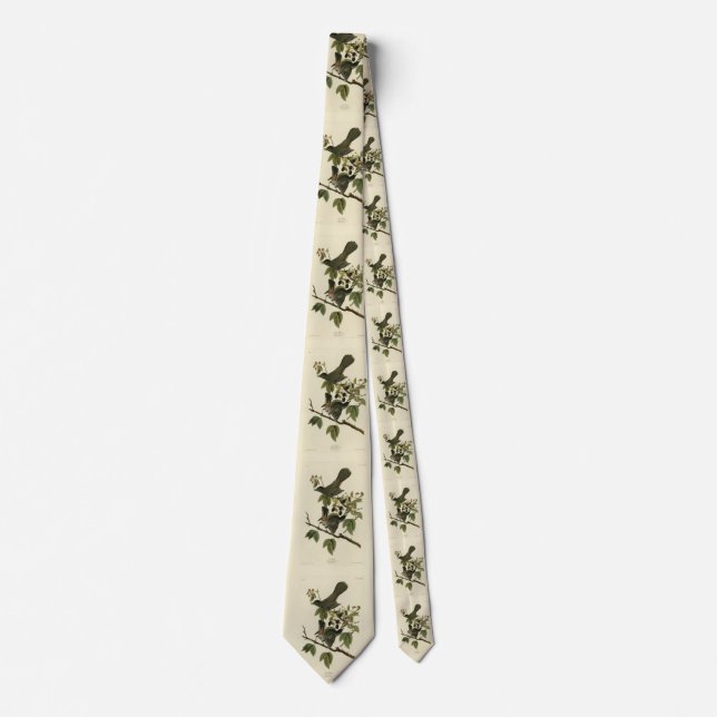 Cat Bird (Grey Catbird) Audubon's Birds of America Tie (Front)